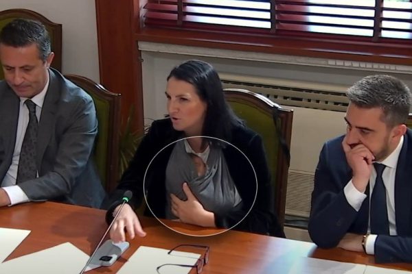 E VEÇANTË/ Deputetja socialiste qe adhuron Ramen shkon në Kuvend me fëmijën e porsalindur