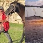 Cfarë i bëri vajzës në kalë që si dha lekët? Ja pse e vr*u Kristo ne sy të femijeve Kelin në Berat